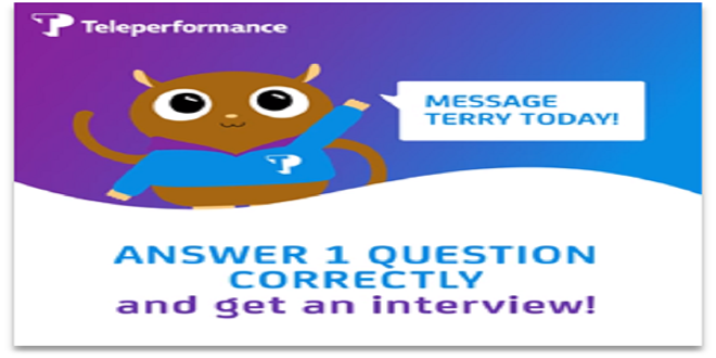 Terry Interview Bot