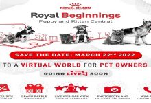 Save the Date - Royal Beginnings - Puppy and Kitten Central_1