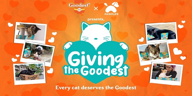 Goodest_Goodest partners with Pawplife to aid shelter groups and communities