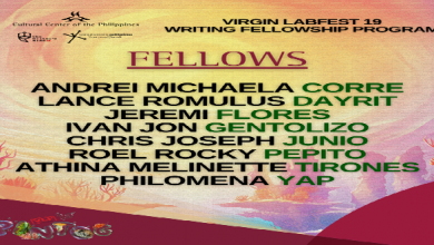 Announcement of Chosen VLF 19 Fellows