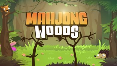 Jeremy’s Journey Home Amazing Adventure – Mahjong Woods Available on Xbox