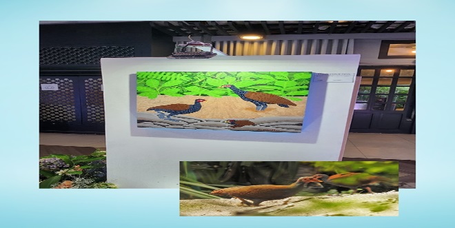 Samantha Kaspar's painting of the endangered Tabon birds which is part of the conservation projects of Banwa Private Island_1