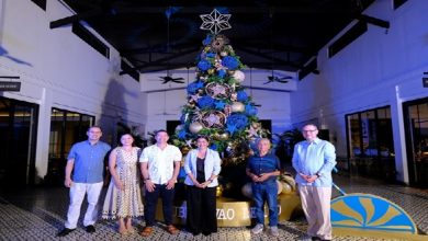 A Tropical Christmas Dusit Thani Lubi's Festive Extravaganza