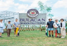 KV - Bulacan Dragon Fruit Depot