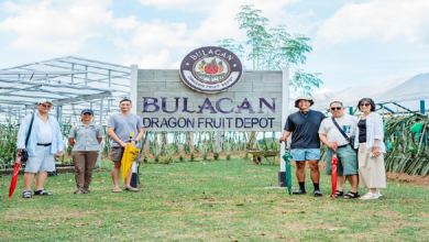 KV - Bulacan Dragon Fruit Depot