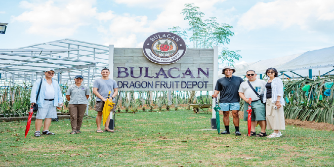 KV - Bulacan Dragon Fruit Depot