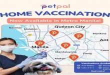 Vaccinate Your Pet at Home with PetPal