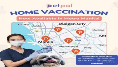 Vaccinate Your Pet at Home with PetPal