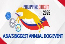 PCCI Dog Show 2025