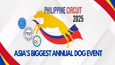 PCCI Dog Show 2025