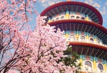 See Taiwan's Cherry Blossoms with AirAsia!