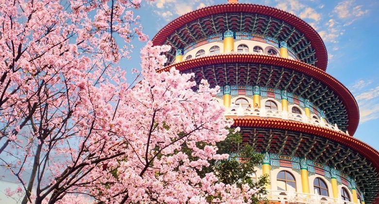 See Taiwan's Cherry Blossoms with AirAsia!