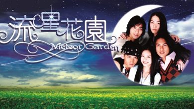 Meteor_Garden