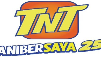 TNT Anibersaya 25A